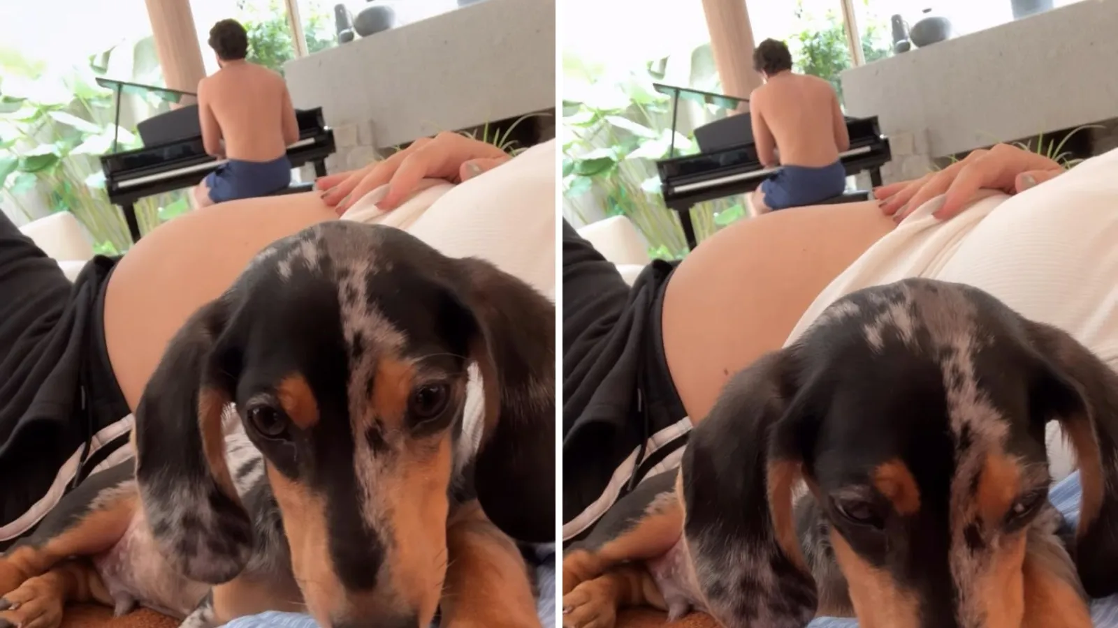 Rafa Kalimann grávida ganha serenata de Nattan ao piano - Imagem do artigo