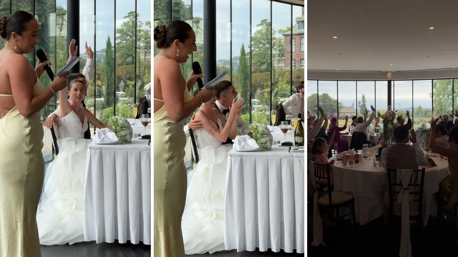 Madrinha viraliza ao buscar namorado em discurso nupcial - Imagem do artigo