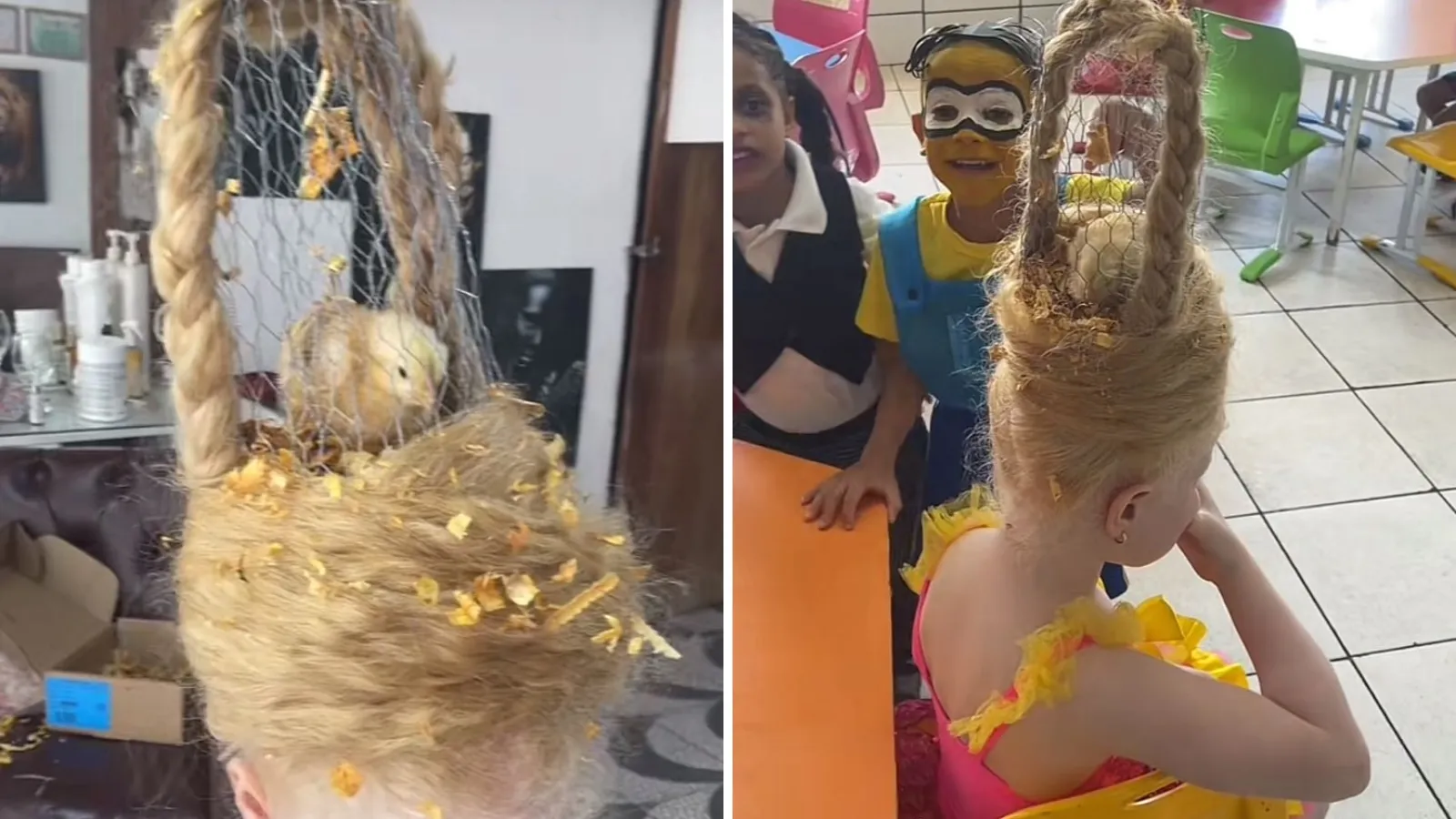 Dia do Cabelo Maluco: criança leva pintinho vivo à escola - Imagem do artigo