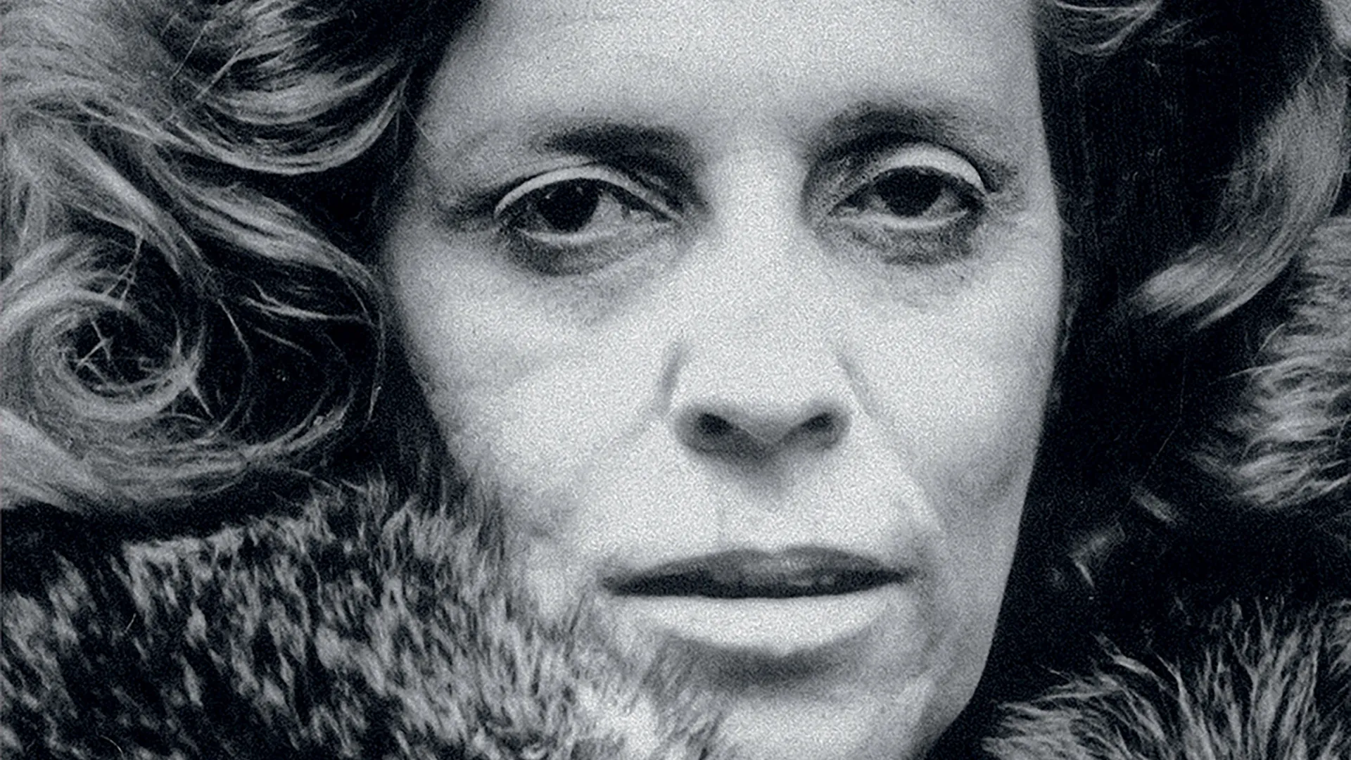 Livros de novembro destacam resistência pela narrativa - Imagem do artigo