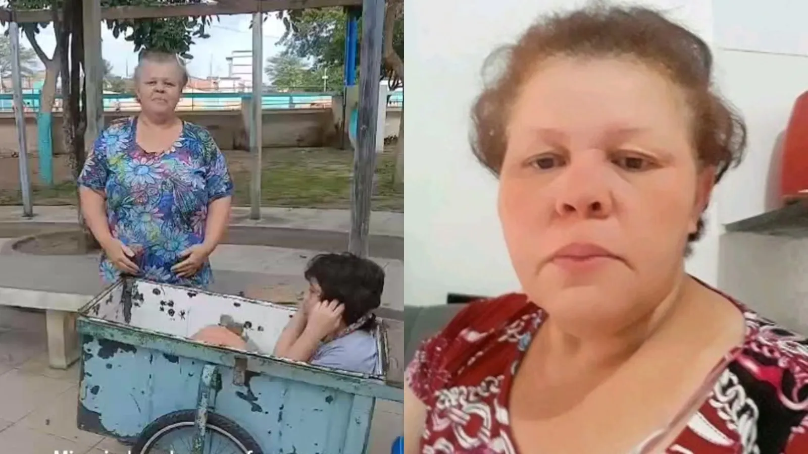 Mãe solo transporta filho autista em carroça e comove web - Imagem do artigo