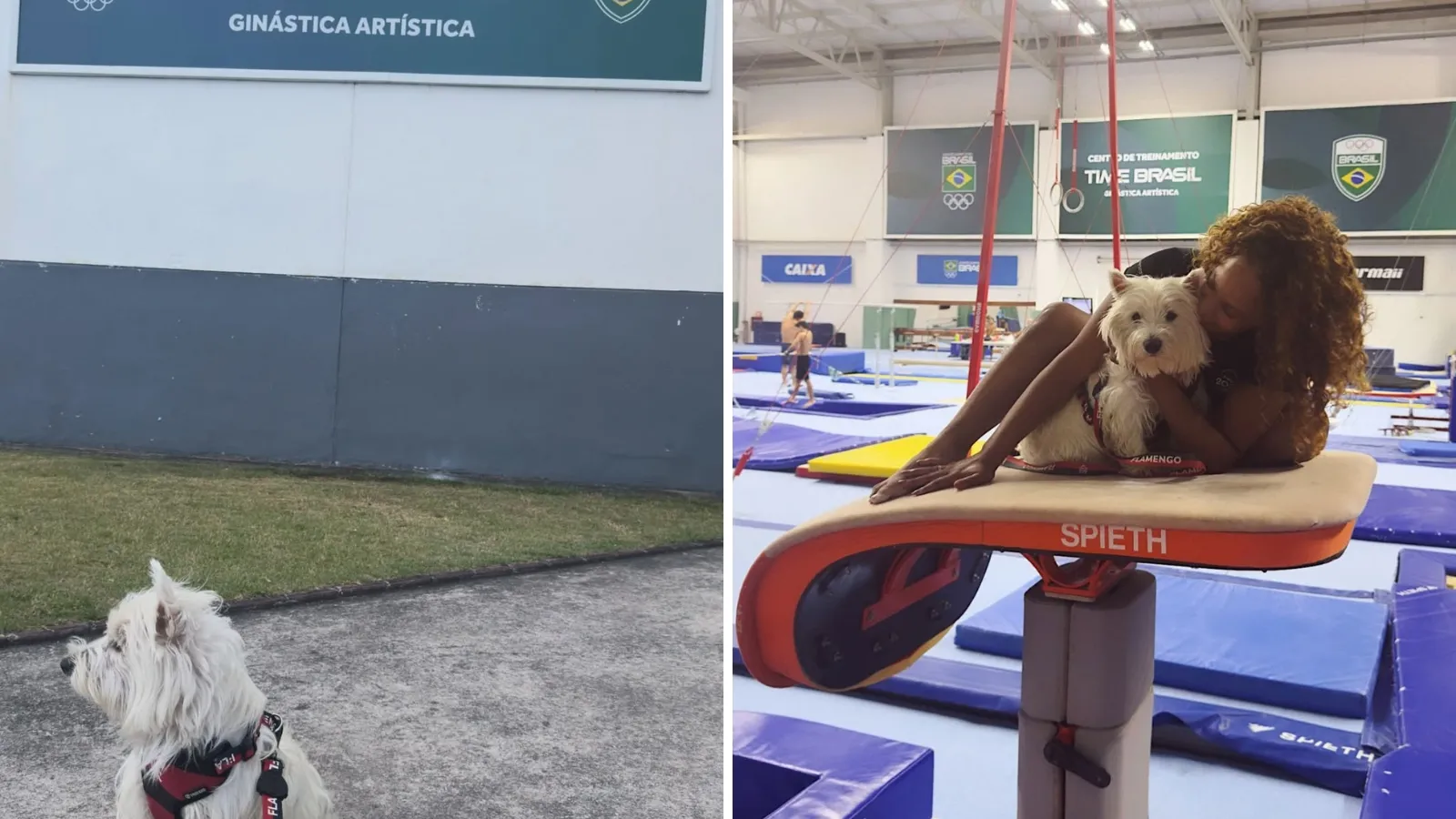 Rebeca Andrade leva cachorro ao treino de ginástica - Imagem do artigo