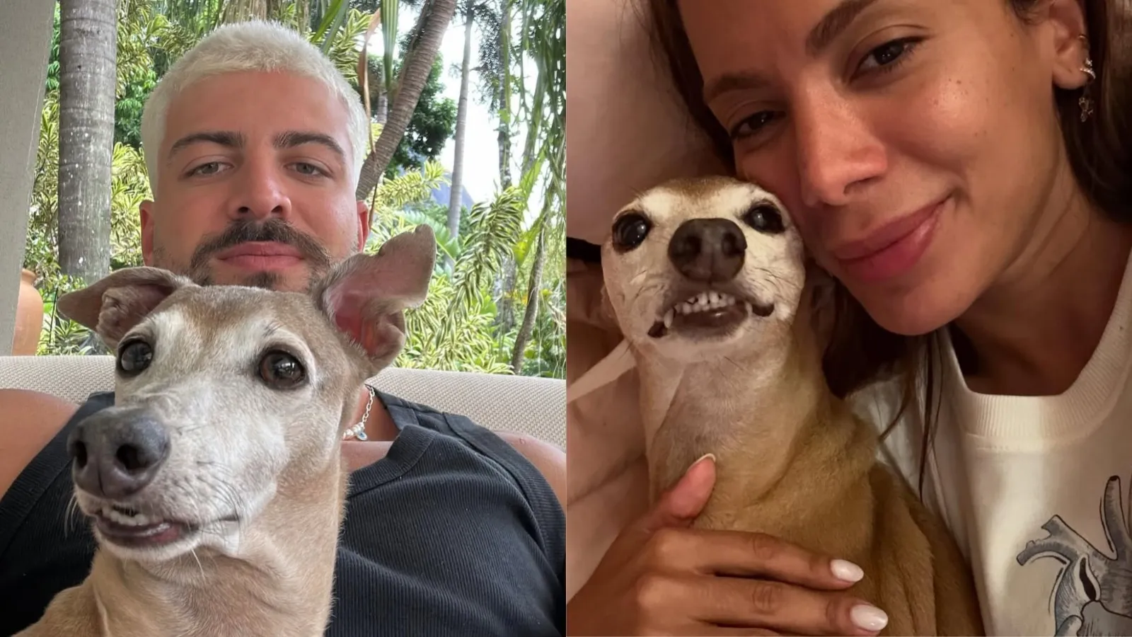 Cachorro de Anitta surge com namorado e fãs comemoram - Imagem do artigo