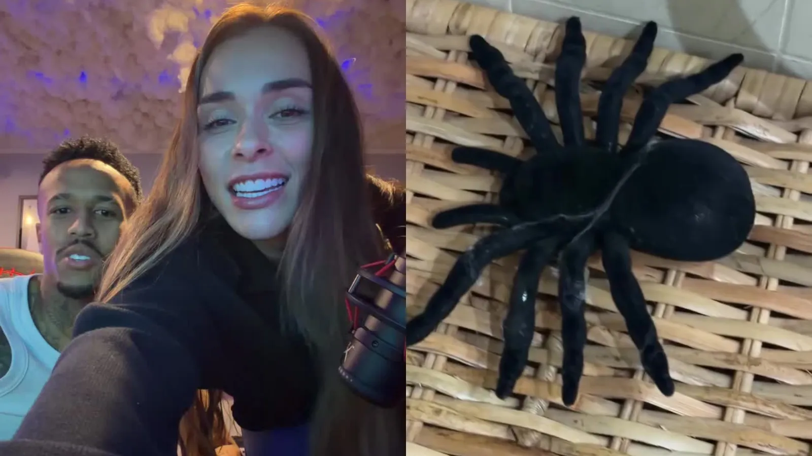 Tainá Militão se assusta com aranha de plástico gigante - Imagem do artigo