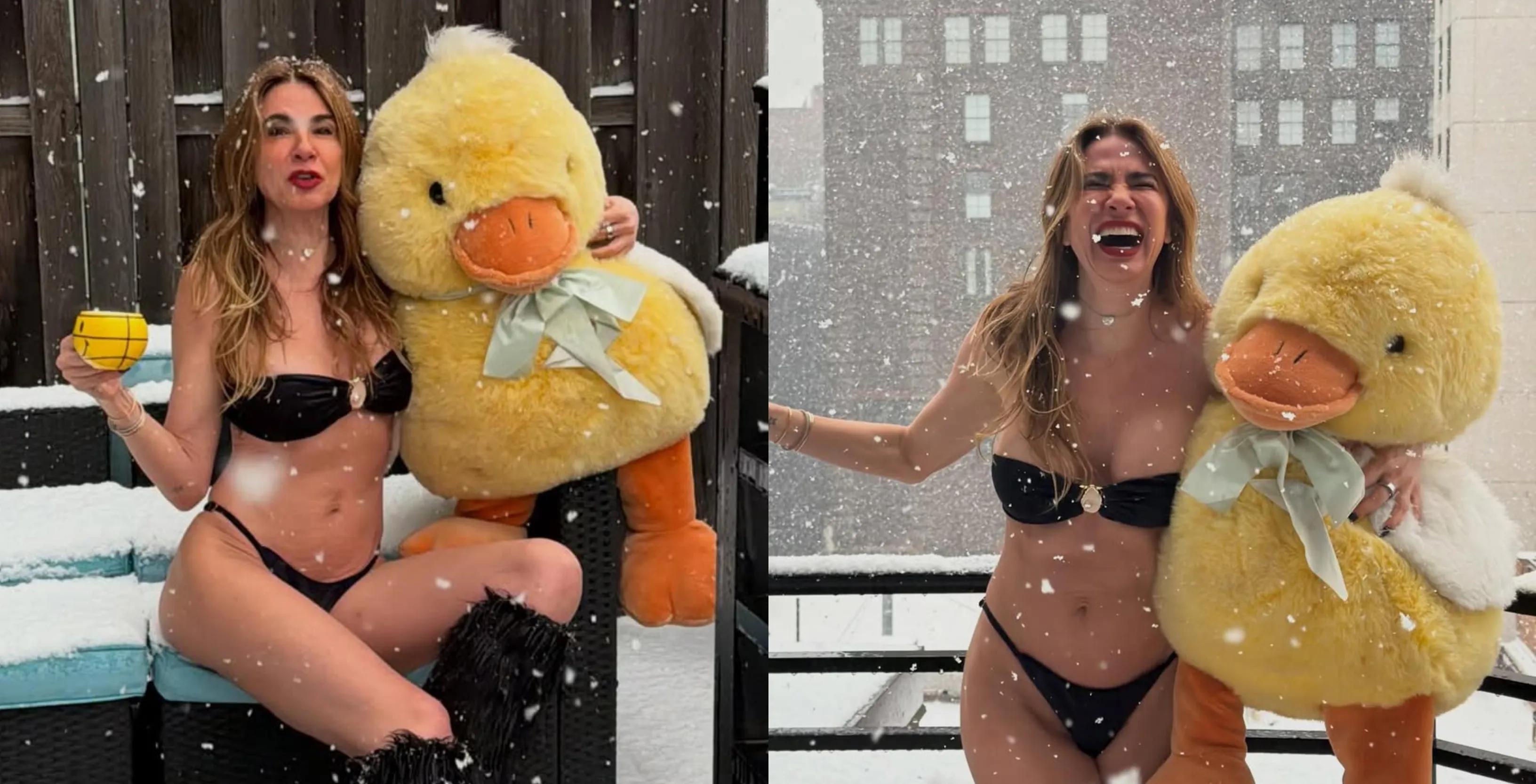 Luciana Gimenez posa de biquíni na neve em Nova York - Imagem do artigo
