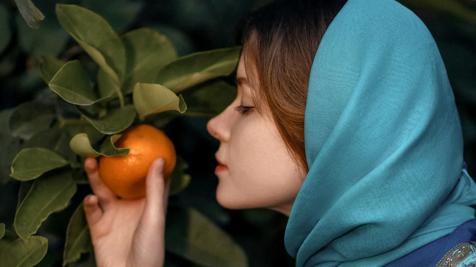 Perfumes nacionais com mandarina: 5 opções refrescantes - Imagem do artigo