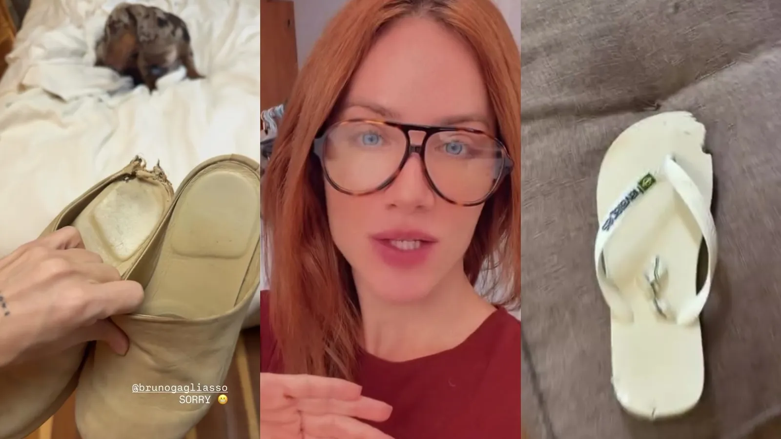 Giovanna Ewbank relata sandálias destruídas por cães - Imagem do artigo