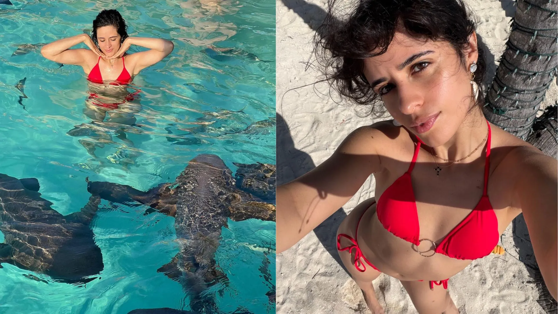 Camila Cabello exibe biquíni vermelho e nada com tubarões - Imagem do artigo