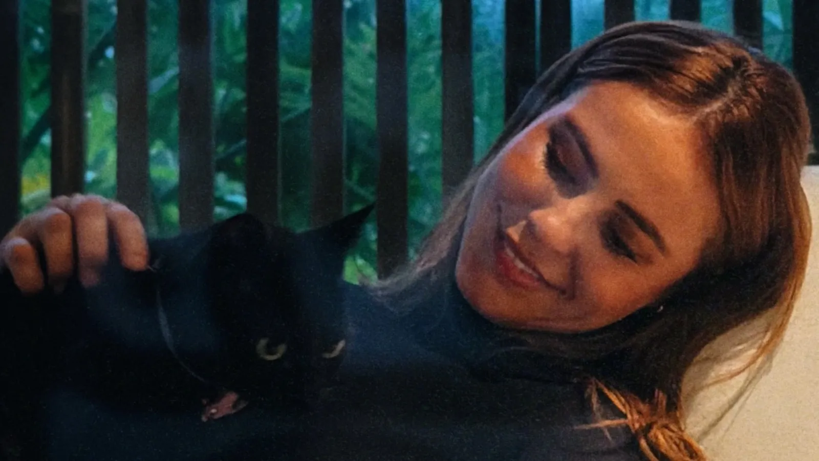 Paolla Oliveira alerta sobre maus-tratos a gatos pretos - Imagem do artigo