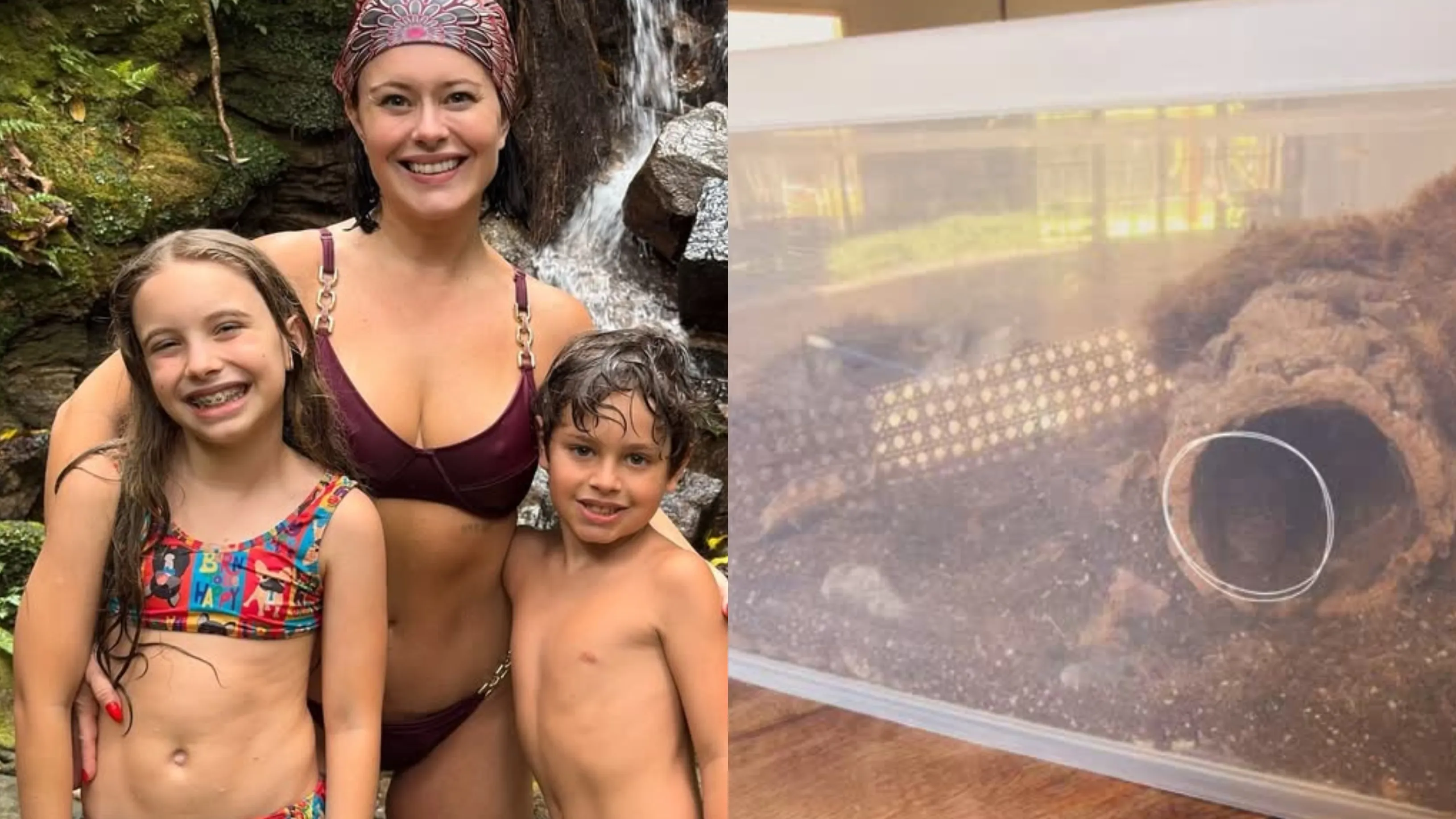 Mari Bridi enfrenta barata-de-madagáscar adotada pelo filho - Imagem do artigo