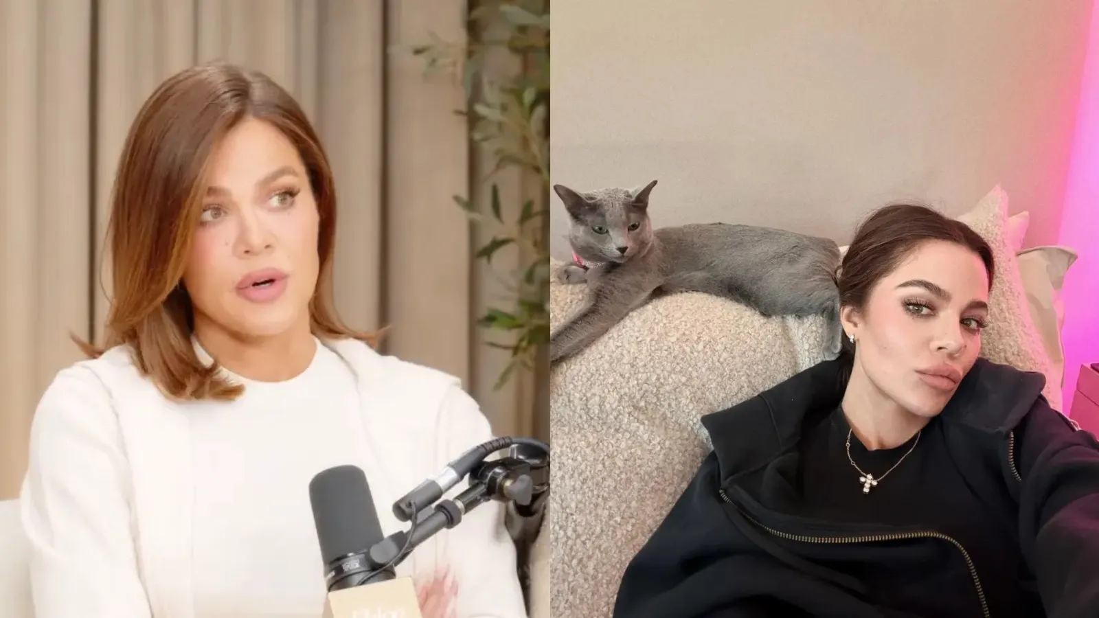 Khloe Kardashian revolta ao remover garras dos gatos - Imagem do artigo