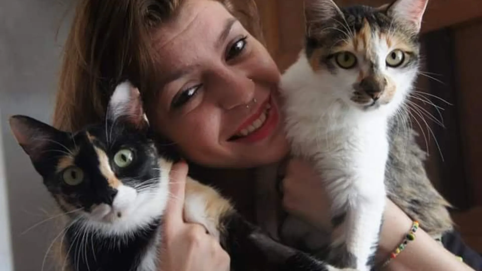 Guarda compartilhada de animais protege vítimas de abuso - Imagem do artigo